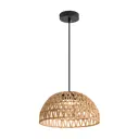 Светильник подвесной Freya Terra Fr5514pl-01b 1 лампа 3 м² цвет черный