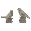 Садовые фигуры Glasar HP0636, Птицы 17x8см Бежевый
