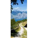 Наклейка для дверей и мебели Wallfix "Золотые ворота" 95x220 см, W091