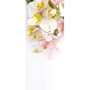 Пленка самоклеящаяся универсальная Wallfix Альстромерия 0.95x2.2 м цвет белый;розовый