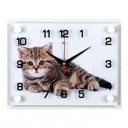 Настенные часы Рубин 1377025 21 см