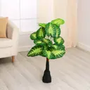 Дерево искусственное Алоказия пёстрая 75 см