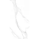 Керамогранит Casati ceramica Statuario oro 60x120см цвет серый