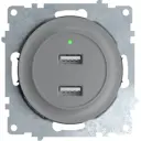 Розетка USB встраиваемая Onekeyelectro Florence 2260091 с заземлением цвет серый