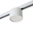 Трековый светильник спот под лампу Gx53 Feron 51122 однофазный цвет белый