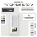 Рулонная штора Унистайл Унистайл кассетная рулонная штора - Блэкаут 40x120 см цвет белый