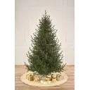 Искусственная елка Max christmas ЕЛСМЛ 15 Лесная симфония 150 см