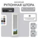 Рулонная штора блэкаут Унистайл LKRBLSVS040190 40x190 см, цвет светло-серый