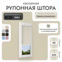 Рулонная штора блэкаут Унистайл RKRBLBEZ058220, 58x220 см, цвет бежевый