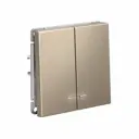 Выключатель встраиваемый Systeme electric ArtGallery GAL000553S 2 клавиши цвет шампань