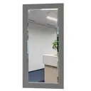 Интерьерное зеркало Mobi 1025687K 120x59 см