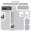 Рулонная штора блэкаут Унистайл RKRBLSVS048195 48x195 см, цвет светло-серый