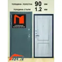 Входная дверь ЦСД Триумф Букле левый 205x96см цвет букле темно-серый/белая сосна