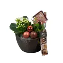 Композиция бронзовая PTCHB9704 ø14 h20 см Комнатное растение