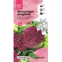 Семена цветов Агросидстрейд трахелиум Корине Ред голубой 5 шт.