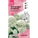 Семена цветов Агросидстрейд трахелиум Суприм Вайт голубой 5 шт.