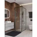 Душевой уголок Cezares LUX LUX-AH-FS-1-90/100-C-GM прямоугольная 90x100см никелированный профиль эффект стекла прозрачный