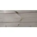 Палубная доска Элитлес сосна сорт AB 600x150x40мм структура дерева 0.09м² 3шт