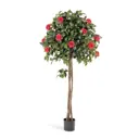 Роза микс ø23 h150 см