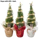 Кипарисовик 25131 ø9 h32 - 35 см