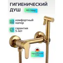Набор для подключения гигиенического душа D-lin D180202-J цвет золото