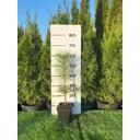 Сосна черная Нигра ø19 h40 - 60 см