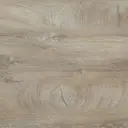 Стеновая панель Зея Delinia 300x0.6x60 см ДСП цвет серый