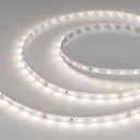 Светодиодная лента Arlight 042282 60 диод/м 4.8 Вт/м 24 В 0.8 см IP20 5 м нейтральный белый свет