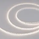 Светодиодная лента Arlight 045968 140 диод/м 6 Вт/м 24 В IP20 5 м нейтральный белый свет