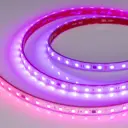 Светодиодная лента Arlight 039181 60 диод/м 12 Вт/м 24 В IP67 5 м изменение цвета rgb свет