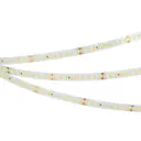 Светодиодная лента Arlight 038783 144 диод/м 7.7 Вт/м 24 В IP20 5 м холодный белый свет