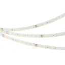Светодиодная лента Arlight 038779 90 диод/м 4.8 Вт/м 24 В IP20 5 м холодный белый свет