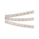 Светодиодная лента Arlight 022325(2) SMD 5060 60 диод/12.5 Вт/м 12 В IP67 5 м теплый белый свет