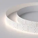 Светодиодная лента Arlight 019081 SMD 2835 350 диод/34 Вт/м 24 В IP20 2.5 м нейтральный белый свет