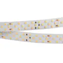 Светодиодная лента Arlight 025155 2 SMD 2835 252 диод/23 Вт/м 24 В IP20 5 м нейтральный белый свет