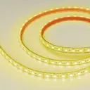 Светодиодная лента Arlight 036291 60 диод/м 14.4 Вт/м 12 В IP68 5 м желтый свет