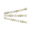 Светодиодная лента Arlight 018729(2) SMD 3528 180 диод/12 Вт/м 24 В IP20 5 м холодный белый свет