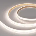 Светодиодная лента Arlight Arlt_040709 120 диод/м 9.6 Вт/м 24 В IP67 5 м нейтральный белый свет