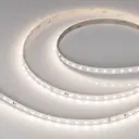 Светодиодная лента Arlight Arlt_040676 78 диод/м 4 Вт/м 48 В IP20 50 м нейтральный белый свет