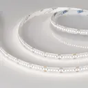 Светодиодная лента Arlight Arlt_040543 240 диод/м 19.2 Вт/м 24 В IP20 5 м нейтральный белый свет