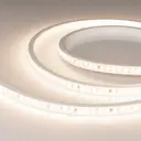 Светодиодная лента Arlight Arlt_054683 84 диод/м 14 Вт/м 220 В IP65 30 м нейтральный белый свет