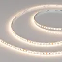 Светодиодная лента Arlight Arlt_037813_1 160 диод/м 15 Вт/м 24 В IP20 5 м теплый белый свет