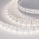 Светодиодная лента Arlight Arlt_021469_2 120 диод/м 28.8 Вт/м 24 В IP20 5 м нейтральный белый свет