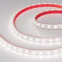 Светодиодная лента Arlight Arlt_022323_2 60 диод/м 14.4 Вт/м 12 В IP67 5 м холодный белый свет