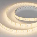Светодиодная лента Arlight Arlt_014723_2 240 диод/м 19.2 Вт/м 24 В IP65 5 м нейтральный белый свет