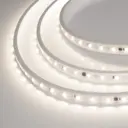 Светодиодная лента Arlight Arlt_029400_2 54 диод/м 8 Вт/м 220 В IP65 10 м нейтральный белый свет