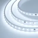 Светодиодная лента Arlight Arlt_029403_2 54 диод/м 8 Вт/м 220 В IP65 10 м холодный белый свет