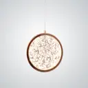 Светильник подвесной светодиодная Imperiumloft Naina Impr_189672-23 7 м² теплый белый свет цвет прозрачный, золотой