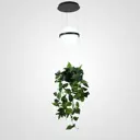 Светильник подвесной светодиодная Imperiumloft Palma wall lamp Impr_168489-22 4 м² нейтральный белый свет цвет белый, серый