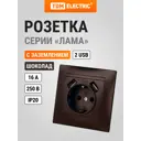 Розетка встраиваемая Tdm electric SQ1815-0542 2 USB цвет коричневый